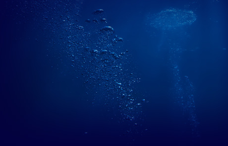 深海とは 深海魚の聖地 Heda 戸田 戸田地区深海魚活用推進協議会 公式ホームページ