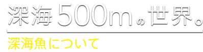 深海 500mの世界 深海魚について