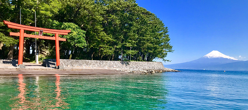 観光 戸田八景 深海魚の聖地 Heda 戸田 戸田地区深海魚活用推進協議会 公式ホームページ