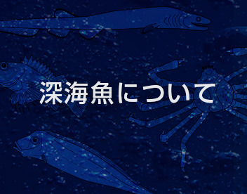 深海と戸田のくらし