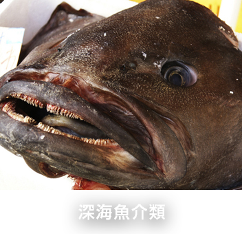 深海魚介類