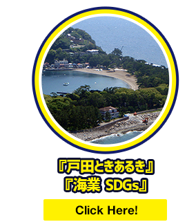 『戸田ときあるき』『海業 SDGs』