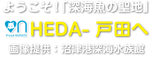 ようこそ！「深海魚の聖地」HEDA- 戸田へ